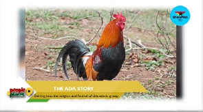 The cock is the main symbol of the Ada People