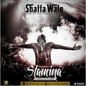 Stamina cover art by Shatta Wale
