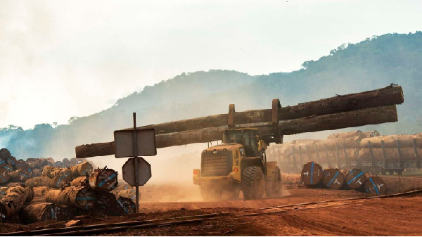 Exploitation of wood in Libreville, Gabon.