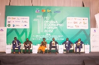 Panelists at the 2022 GEF