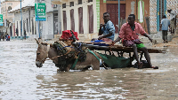A donkey cart wades through flood waters on a street in Wadajir district of Mogadishu, Somalia