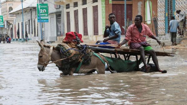 A donkey cart wades through flood waters on a street in Wadajir district of Mogadishu, Somalia