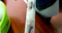 The authorities found the ants in test tubes stuffed with cotton wool