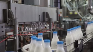 The GAEC has trained some Ghanaian youth in yoghurt production