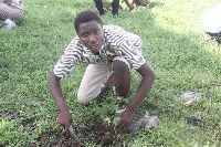 A student planting a tree