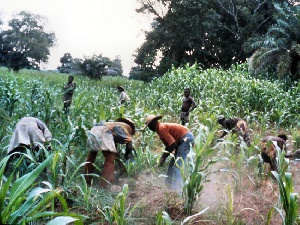 Farmers Planting And Weeding.png