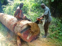 The activities of an illegal chainsaw operator in Odweanoma have disrupted power supply to the area