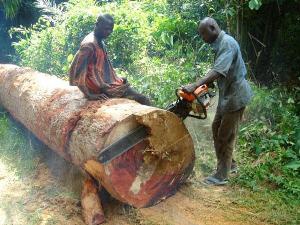 The activities of an illegal chainsaw operator in Odweanoma have disrupted power supply to the area