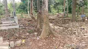 Photo of the Aboabo Cemetery
