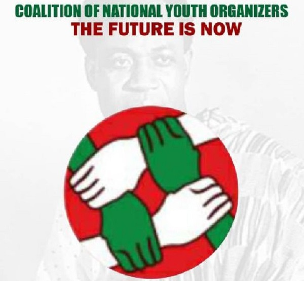 Logo of the Coalition of National Youth Organizers