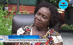 Prof. Naana Jane Opoku Agyemang 1.png