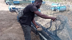 A fish farmer