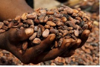 The price of Cocoa is going up on the market