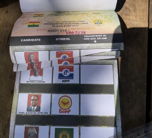 Torn Ballot Papers .jpeg