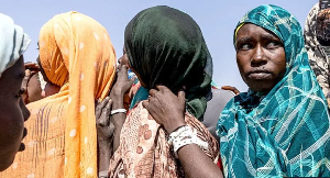 Millions have fled the fighting which began in April 2023 Millions have fled the fighting which began in April 2023