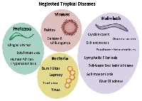 Examples of Neglected Tropical Diseases (NTDs)