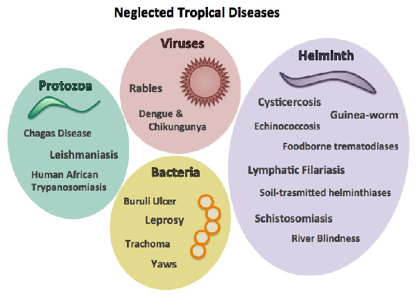 Examples of Neglected Tropical Diseases (NTDs)