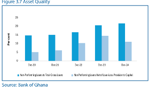 The 2024 Financial Stability Review published by the Bank of Ghana (BoG)