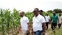 Dr. Sagre Bambangi inspecting some farms in the Upper West region