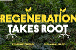 Rainforest Alliance details sustainability gains in 2025 annual report