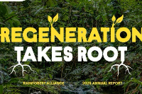 The Rainforest Alliance Releases 2025 Annual Report