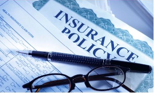 Insurance Policy7