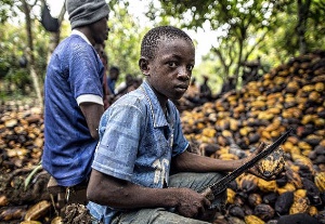 Cocoa Farmers Child Labour