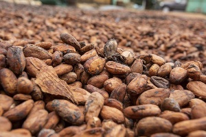 Ivory Coast and Ghana account for almost 70% of world supplies for cocoa beans