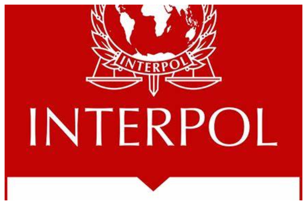 A screenshot of INTERPOL's Red Notice