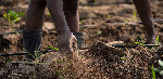 From Research to the Field: Transforming Africa's seed systems From Research to the Field: Transforming Africa's seed systems