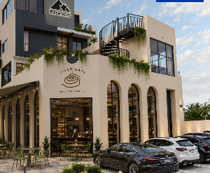 BaseNord offers a multipurpose hub for work, networking and business growth