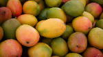 Ghana imported GH¢166,240,503 worth of mangoes from Burkina Faso in 2023 – GSS Trade Report