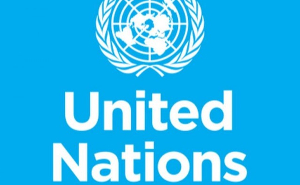 United Nations has warned that terrorist groups are expanding United Nations has warned that terrorist groups are expanding