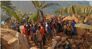 The area has attracted thousands of miners since gold was discovered there at the end of last year