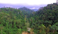 A photo of Atiwa forest