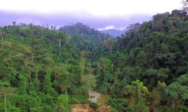 File photo of the Atiwa Forest