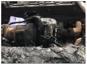 The bus completely burnt to ashes