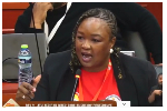 Why SA, Mozambique abstained from adoption of African Family Values Charter
