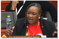 Zandile Majozi is the head of the South African delegation at the conference