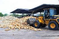 Currently, most rubber processing factories in Ghana operate without dedicated plantations