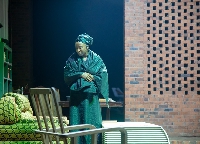 Actress, Naa Ashorkor Mensah-Doku