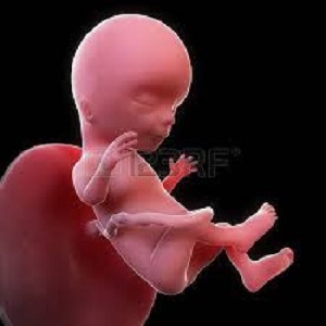 File Photo: The foetus was found swarmed by termites at Betom Methodist School
