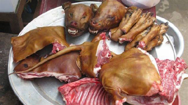 A photo of a served dog meat