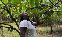 The initiative focused on exposing participants to Ghana's agricultural practices