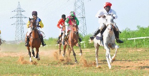 Horse Racer1