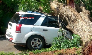 Tree Falls On Legon5 Car