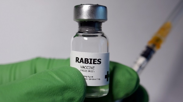 A file photo of a rabies drug