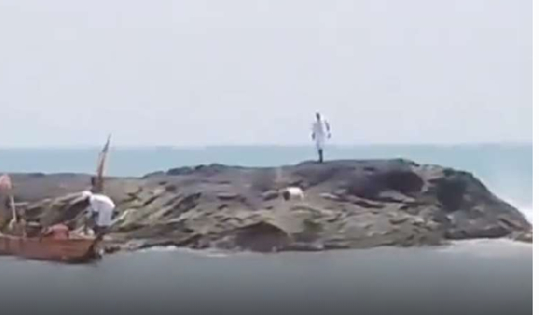 The sheep standing on the sacred rock