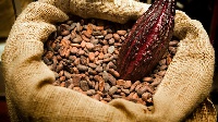 There were reports that 100 tonne of cocoa from Ghana was rejected because it contained herbicide