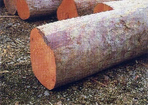 Timber Rosewood